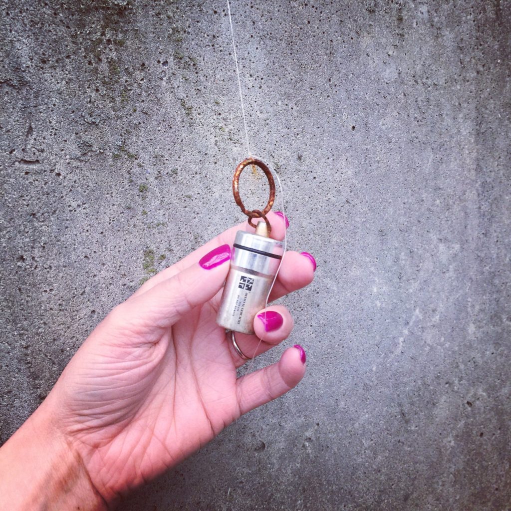 Geocache Keyring