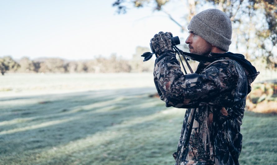 Getting into Bird Watching