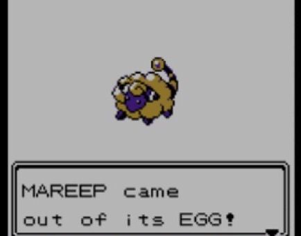 Shiny Mareep hatched