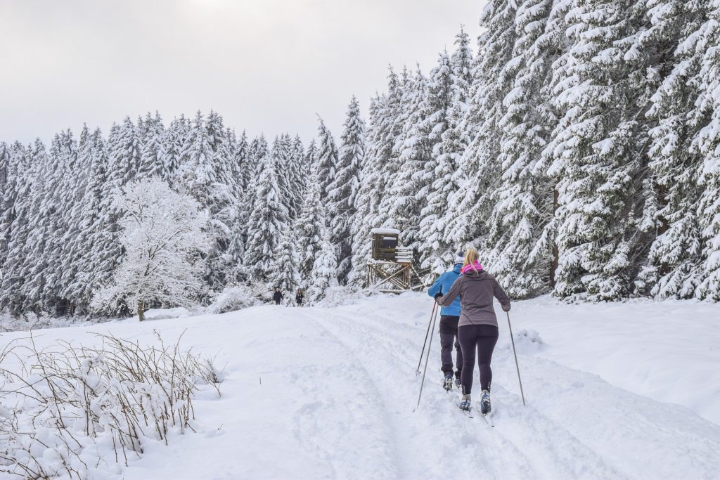 Couple cross-country skiing in forest