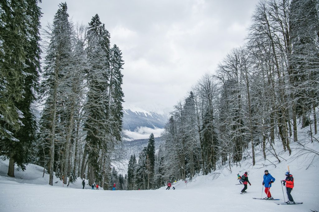 People skiing with snowy trees and mountains in background