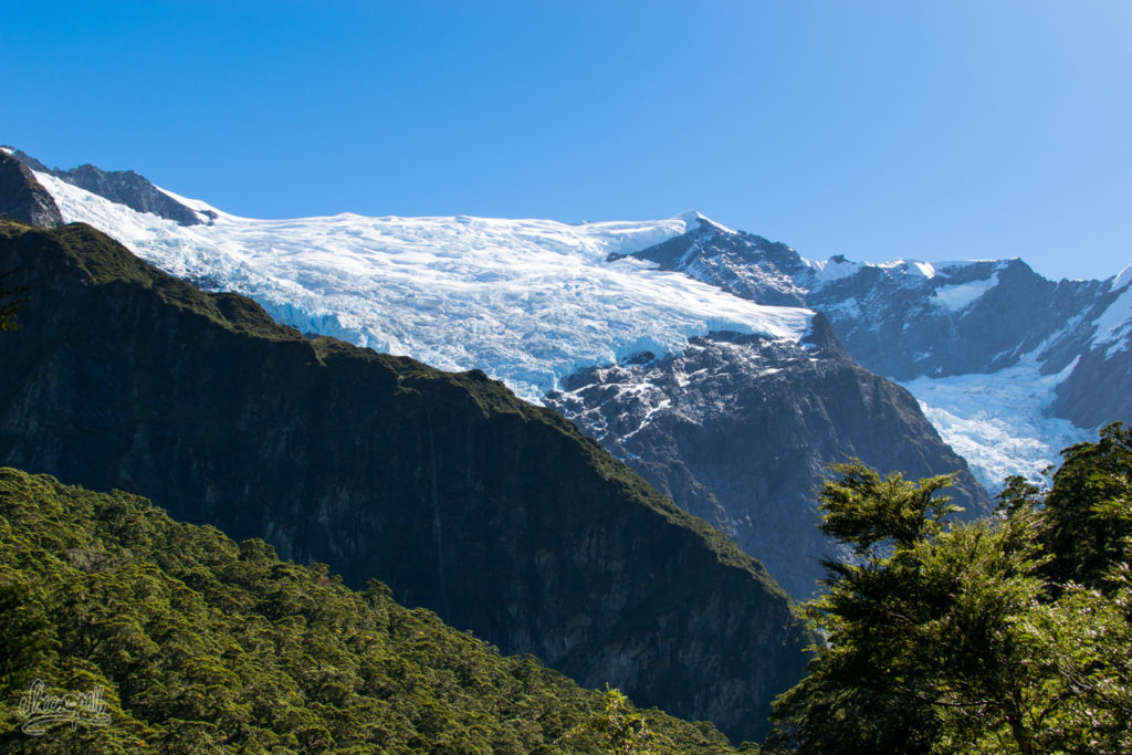 Rob Roy Glacier