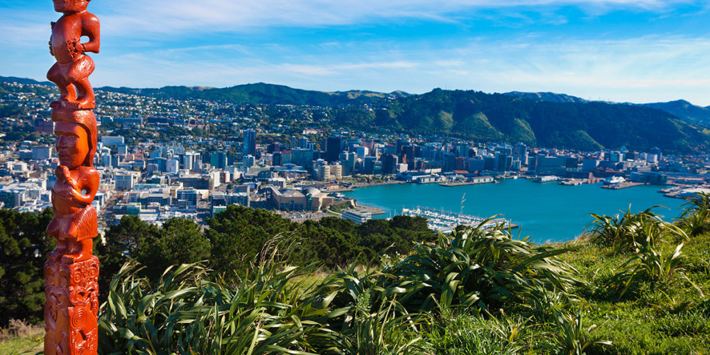 View of Wellington from Mount Victoria